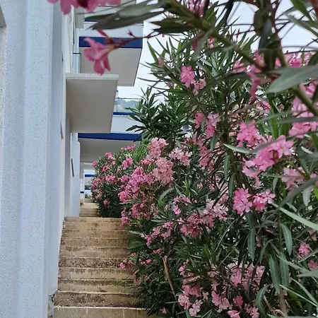 Apartment Elisos *